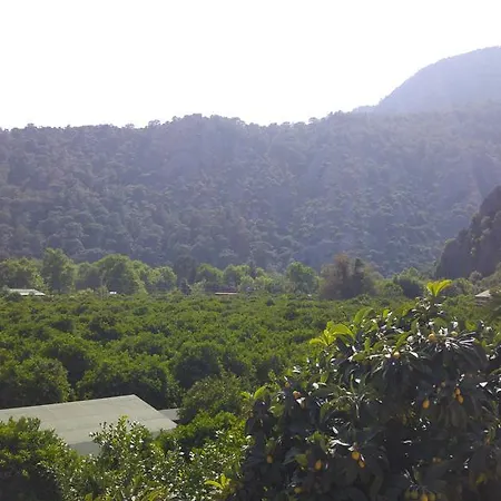 Olympos Hotel Çıralı