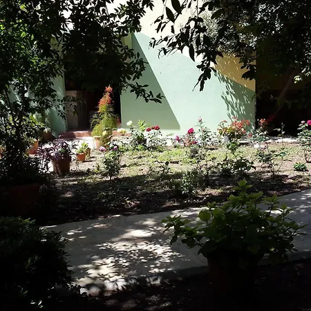 Olympos Hotel Çıralı